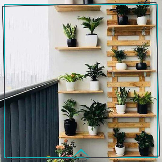 زیباسازی خانه با قفسه‌های چوبی و گیاهان آپارتمانی نمایش گذاشتن گیاهان در خانه 