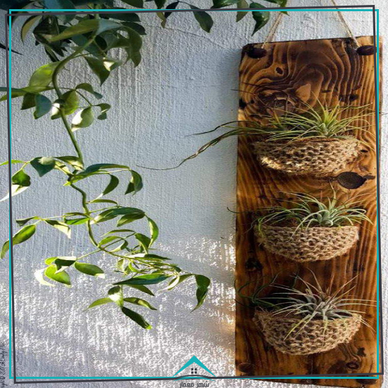 یک نوع اکسسوری دیواری برای نگهداری نمایش گذاشتن گیاهان در خانه 